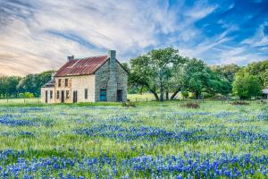 Bluebonnet Photos From the Texas Hill Country